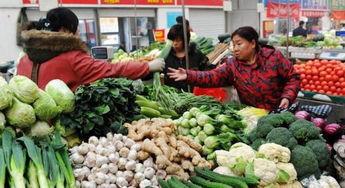 食用農產品的定義與分類