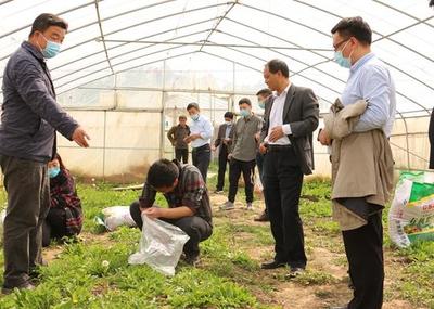 中牟縣試行食用農(nóng)產(chǎn)品合格證制度 守護舌尖安全，推動產(chǎn)業(yè)升級