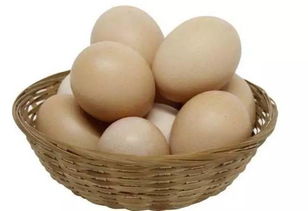 北京食藥監抽檢 華都峪口雞蛋檢出抗菌藥物，食用農產品安全再引關注