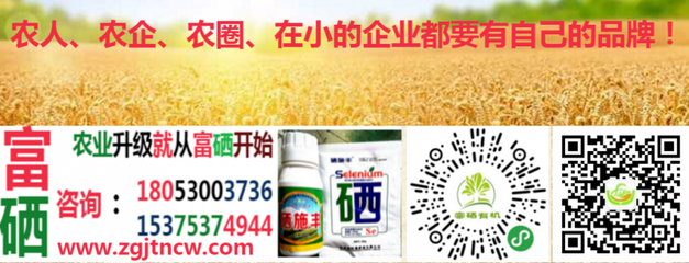 農業農村部實施新規，全國食用農產品全面推行合格證制度